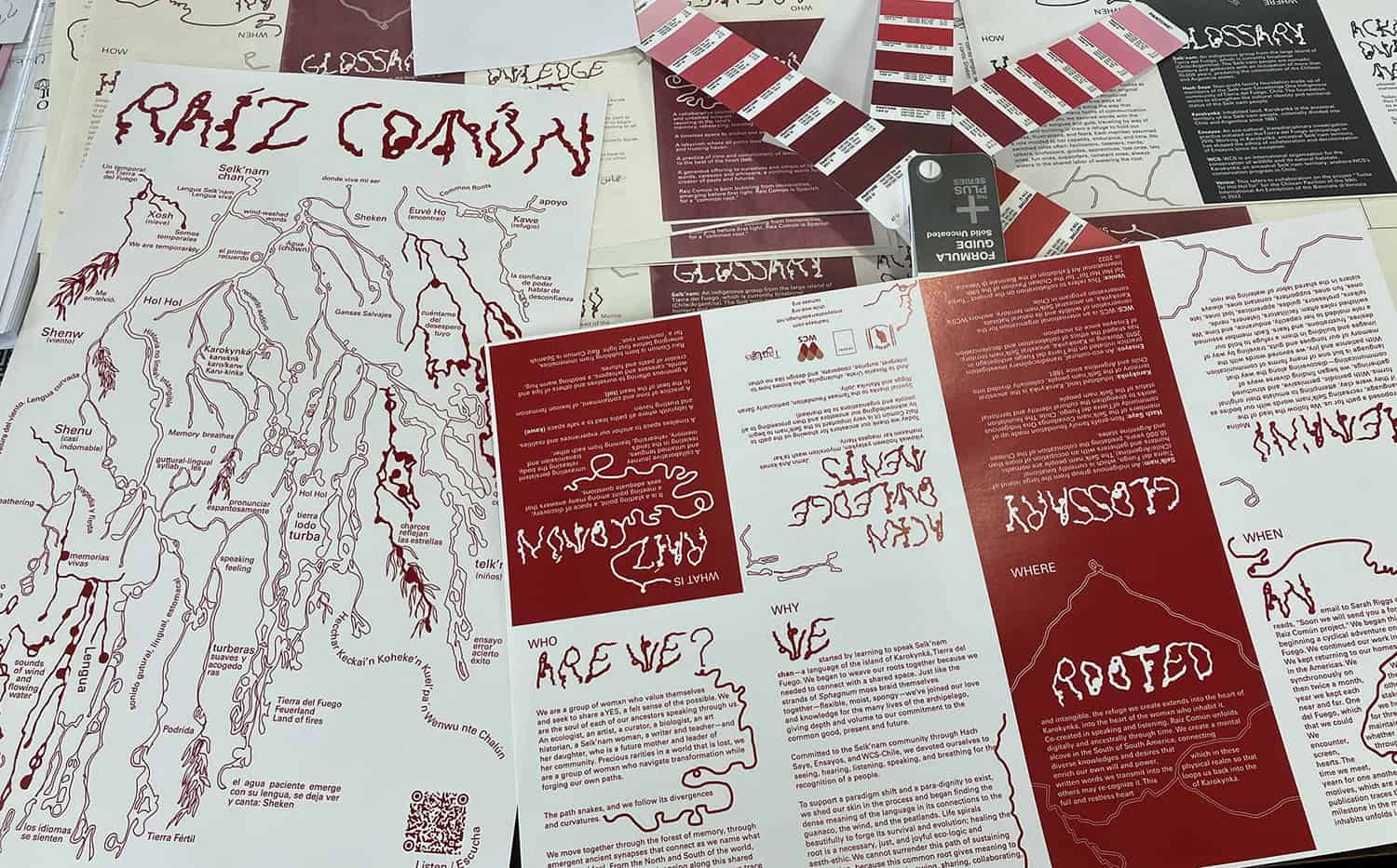 Raíz Común — imagen 1